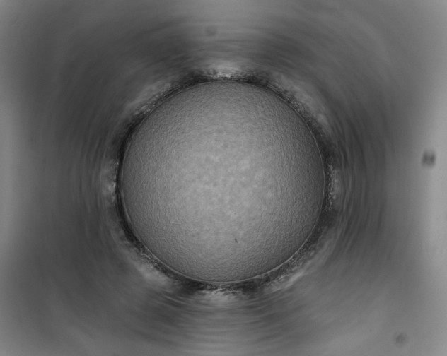 X0000101140545200807110945