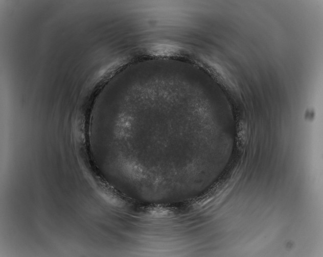 X0000101140547200807110945