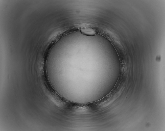 X0000101140548200807110945