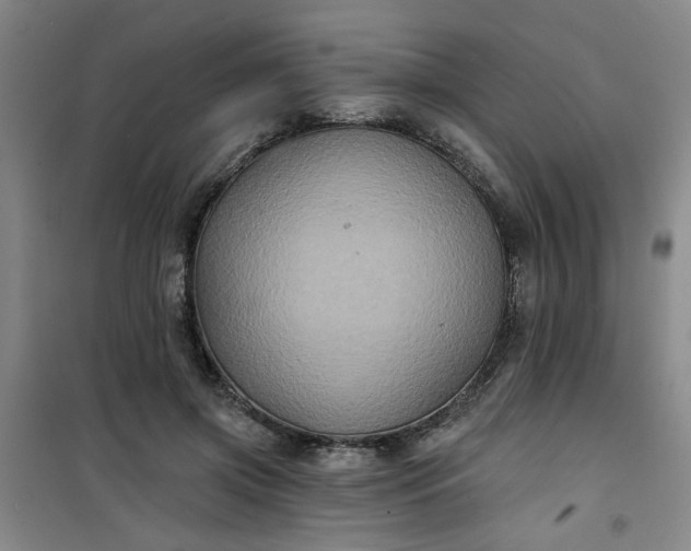 X0000101140549200807110945