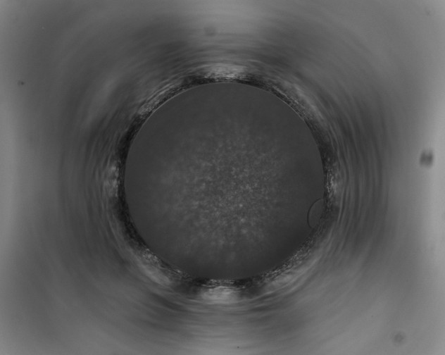 X0000101140551200807110945