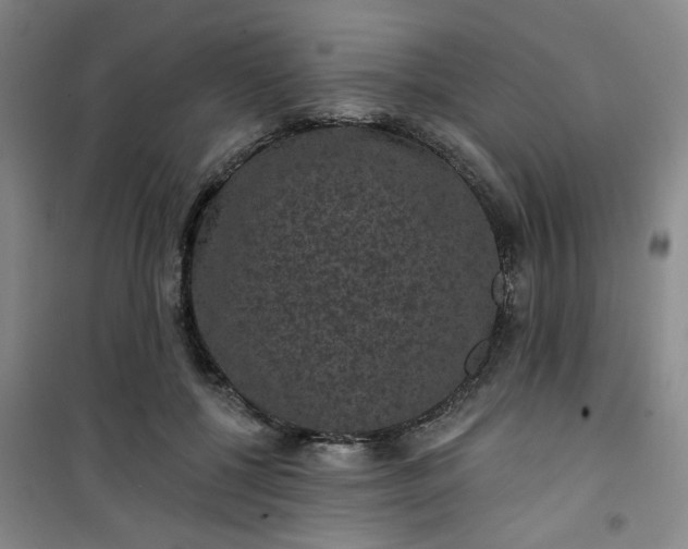 X0000101140552200807110945