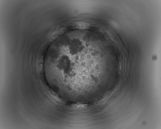 X0000101140553200807110945