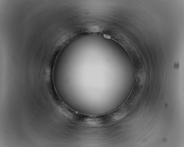 X0000101140556200807110945