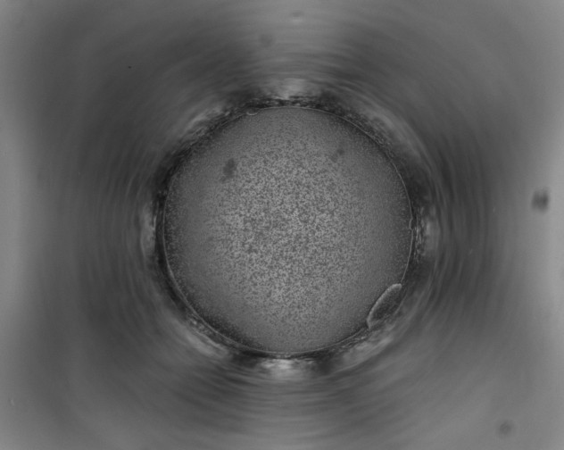 X0000101140558200807110945