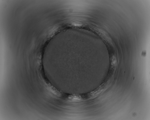 X0000101140559200807110945