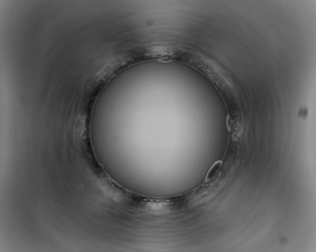 X0000101140560200807110945