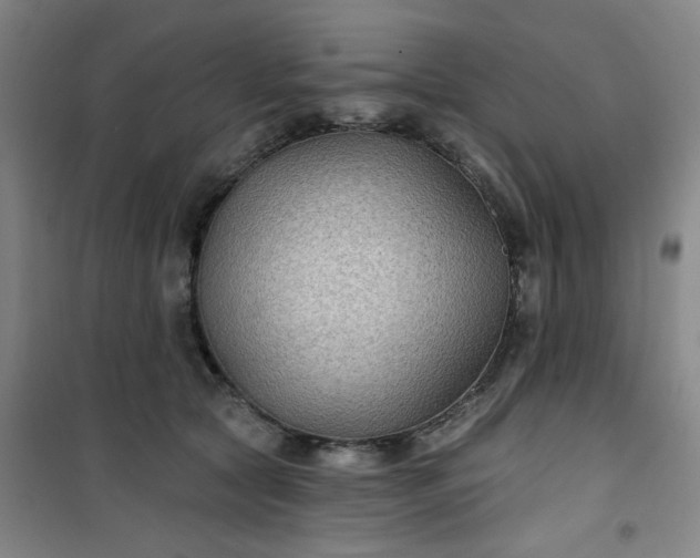 X0000101140561200807110945