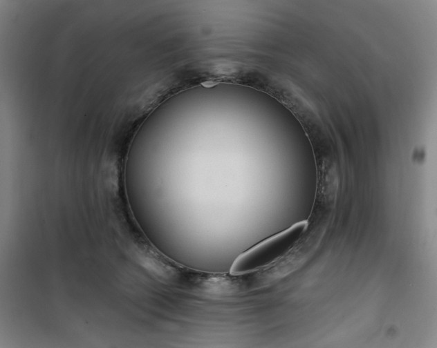 X0000101140562200807110945