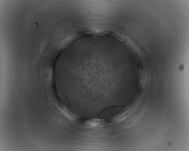 X0000101140563200807110945