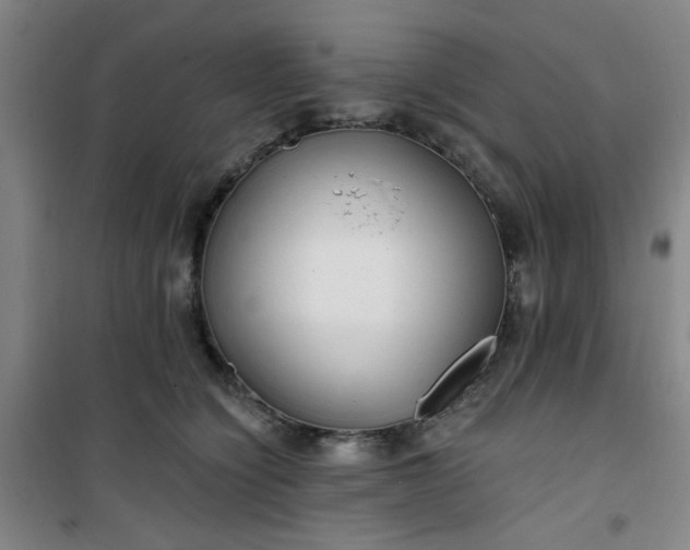 X0000101140564200807110945