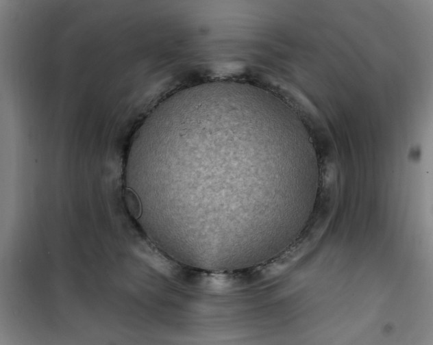 X0000101140565200807110945