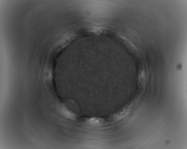 X0000101140566200807110945