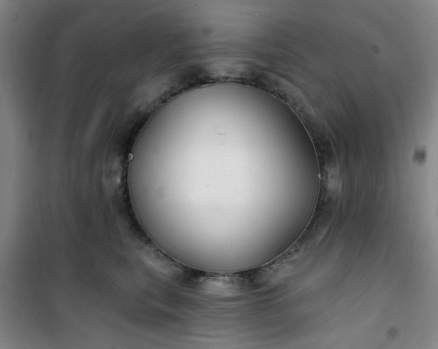 X0000101140567200807110945