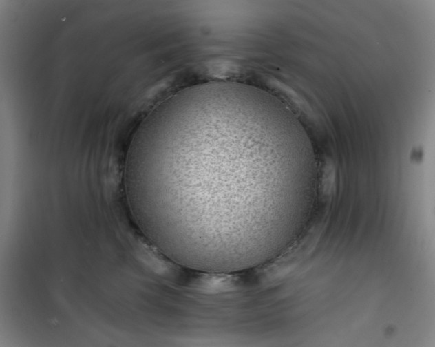 X0000101140569200807110945