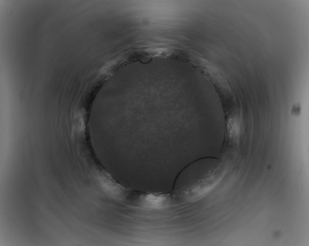 X0000101140570200807110945