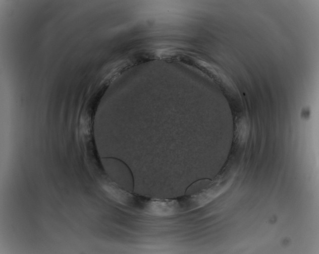 X0000101140571200807110945