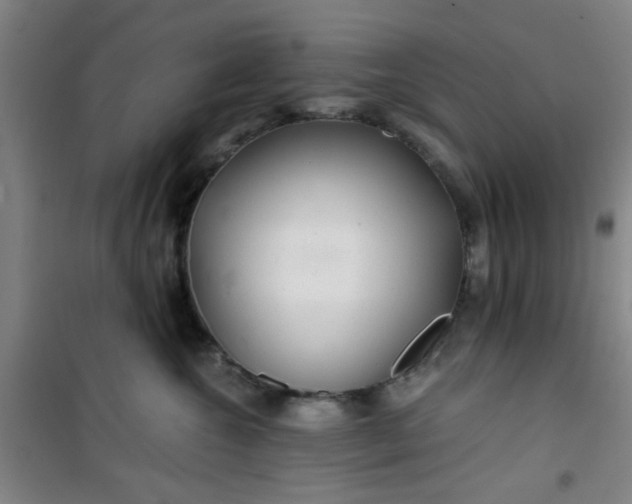 X0000101140572200807110945