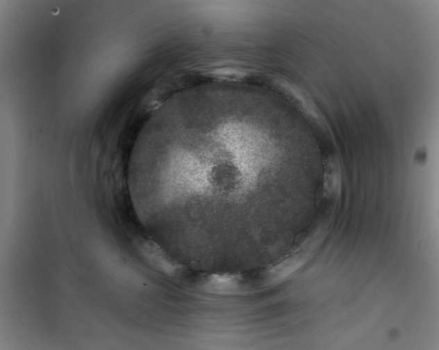 X0000101140573200807110945