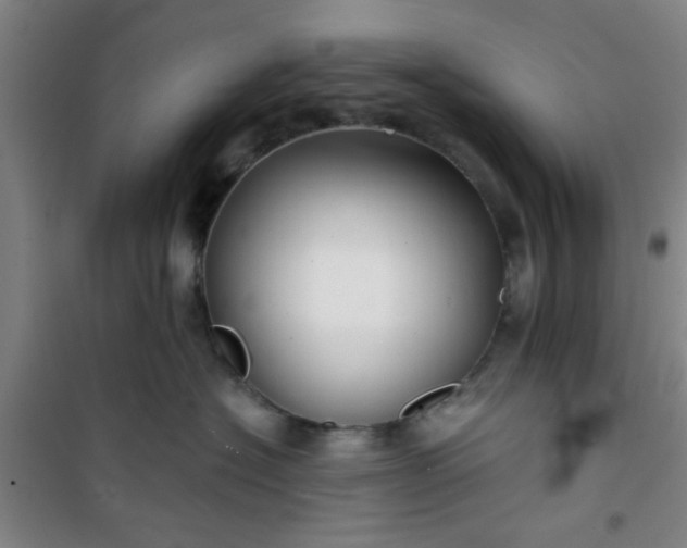 X0000101140574200807110946