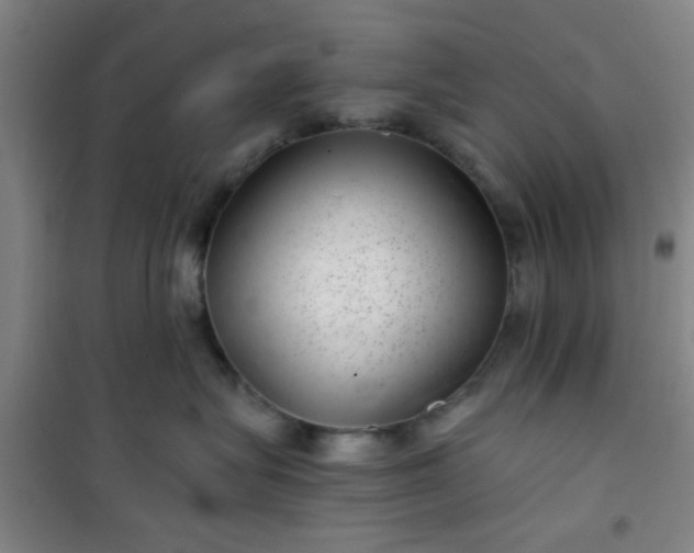 X0000101140575200807110946