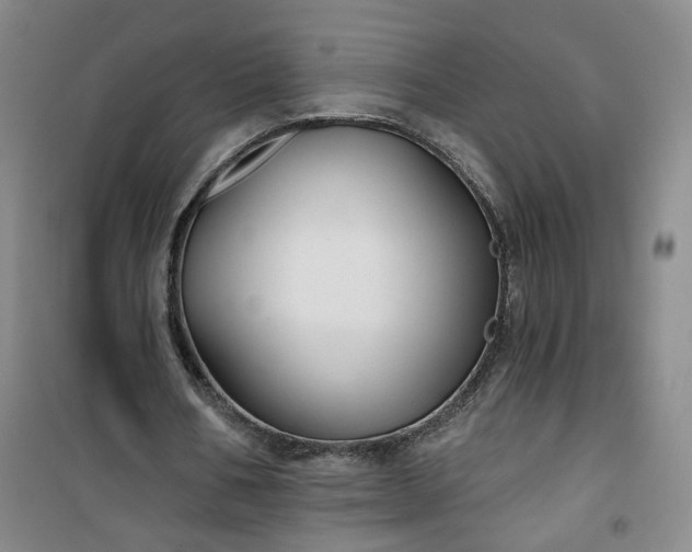 X0000101140578200807110945