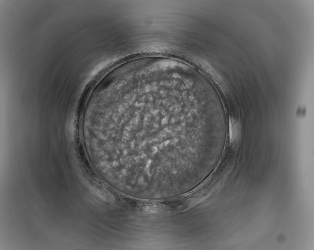 X0000101140579200807110945