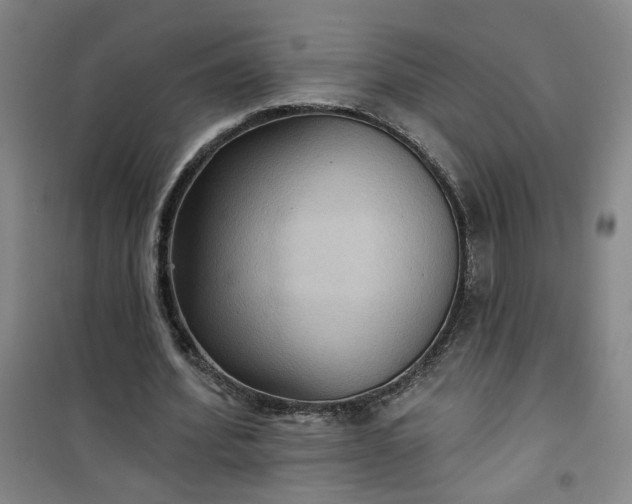 X0000101140580200807110945