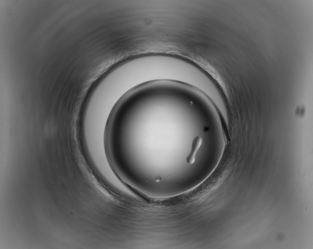 X0000101140581200807110945