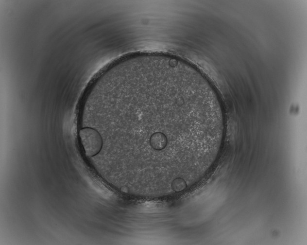 X0000101140584200807110945