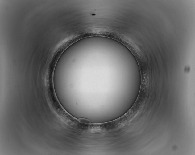 X0000101140587200807110945