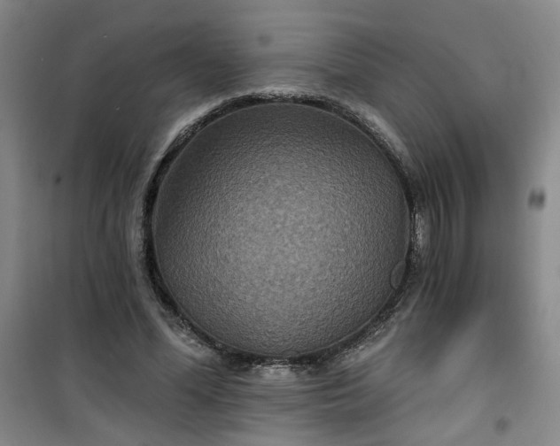 X0000101140588200807110945