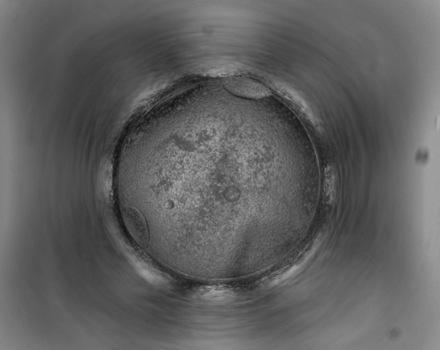 X0000101140589200807110945