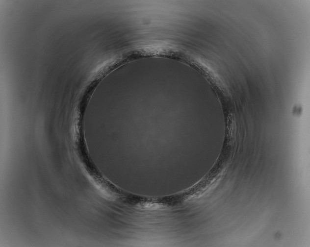 X0000101140590200807110945