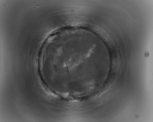 X0000101140592200807110944