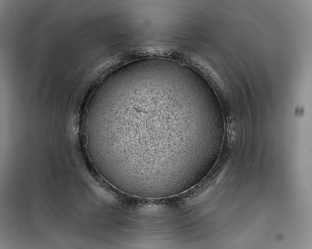 X0000101140593200807110944