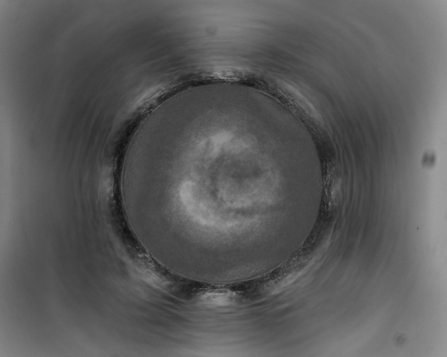 X0000101140595200807110944