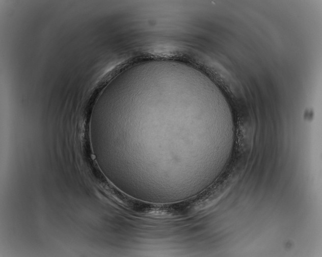 X0000101140596200807110944