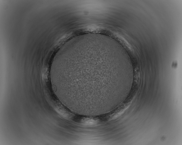 X0000101140597200807110944