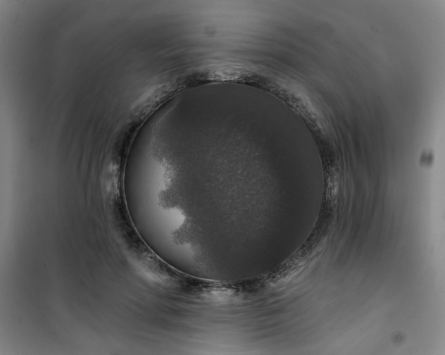 X0000101140598200807110944