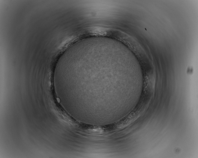 X0000101140600200807110944