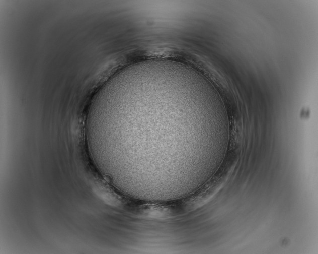 X0000101140601200807110944