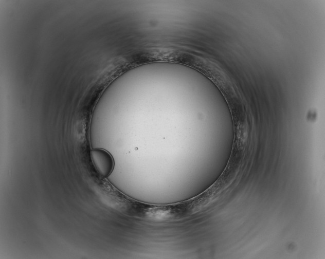 X0000101140602200807110944