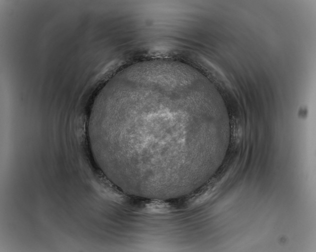 X0000101140603200807110944