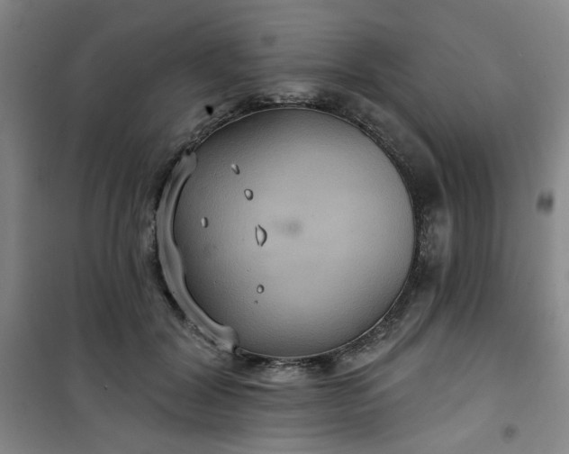 X0000101140604200807110944