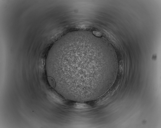 X0000101140605200807110944