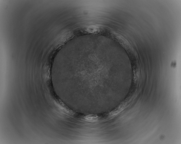 X0000101140606200807110944