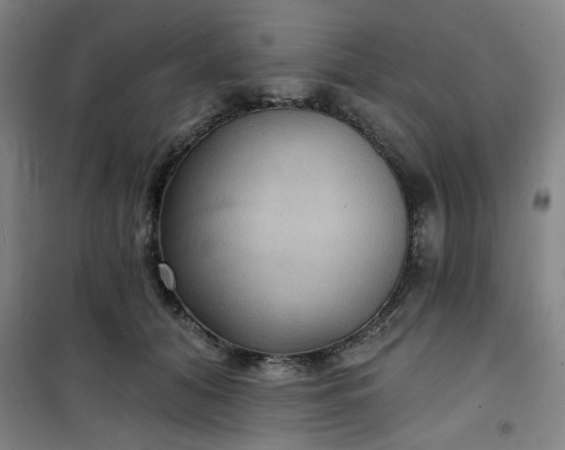 X0000101140608200807110944