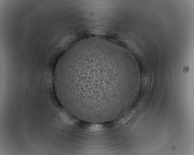 X0000101140609200807110944