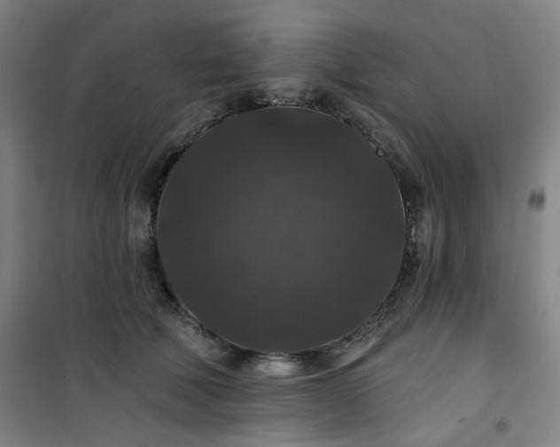 X0000101140610200807110944